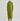 #color_pistachio