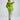 #color_lime