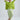 #color_lime